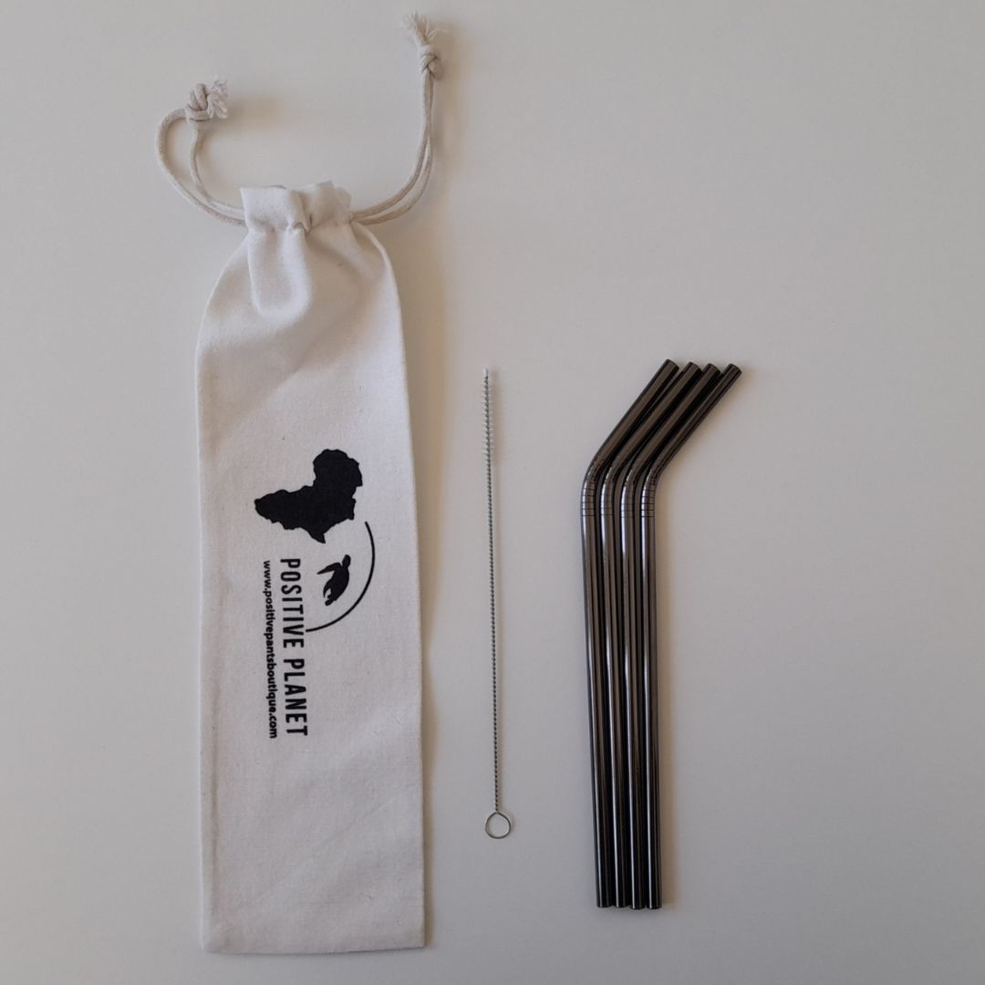 4 x Gunmetal Straw Pack - Off White